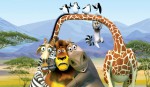 madagaskar2_bild