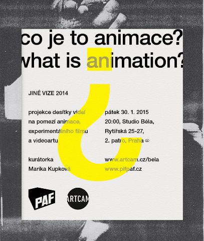 JINE VIZE2014 BELA-ARTCAM