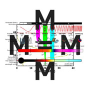 mmedium