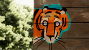 tiger